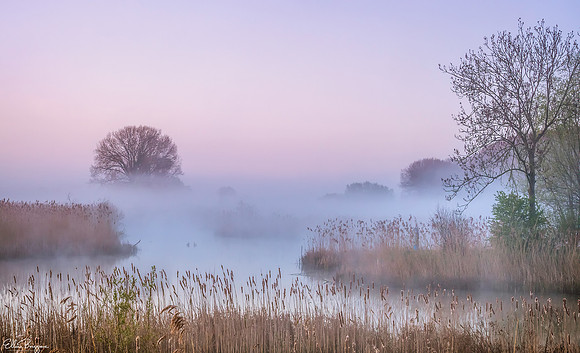 Dreamy picture of misty sunrise at the riverside