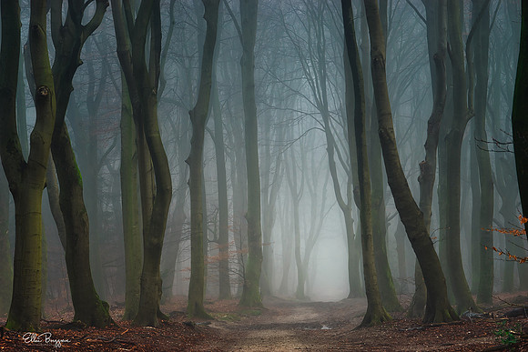 Mystified