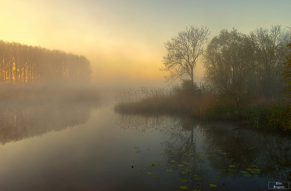 Nature's Painting