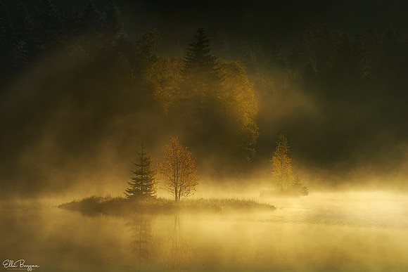 Ethereal