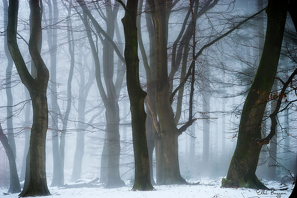 Danse de la Neige