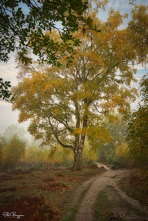 Season Of Mellow Mists