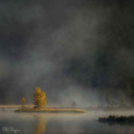 Moody Reflections
