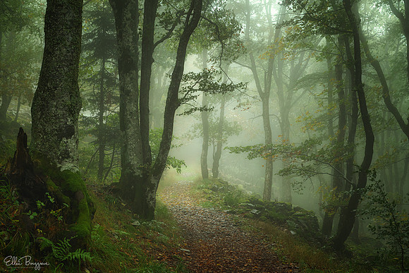 The Timeless Place